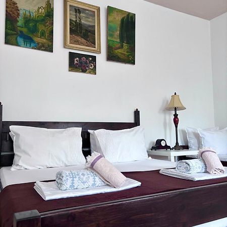 Hotel Casa Trandafirilor Tulcea Exteriér fotografie