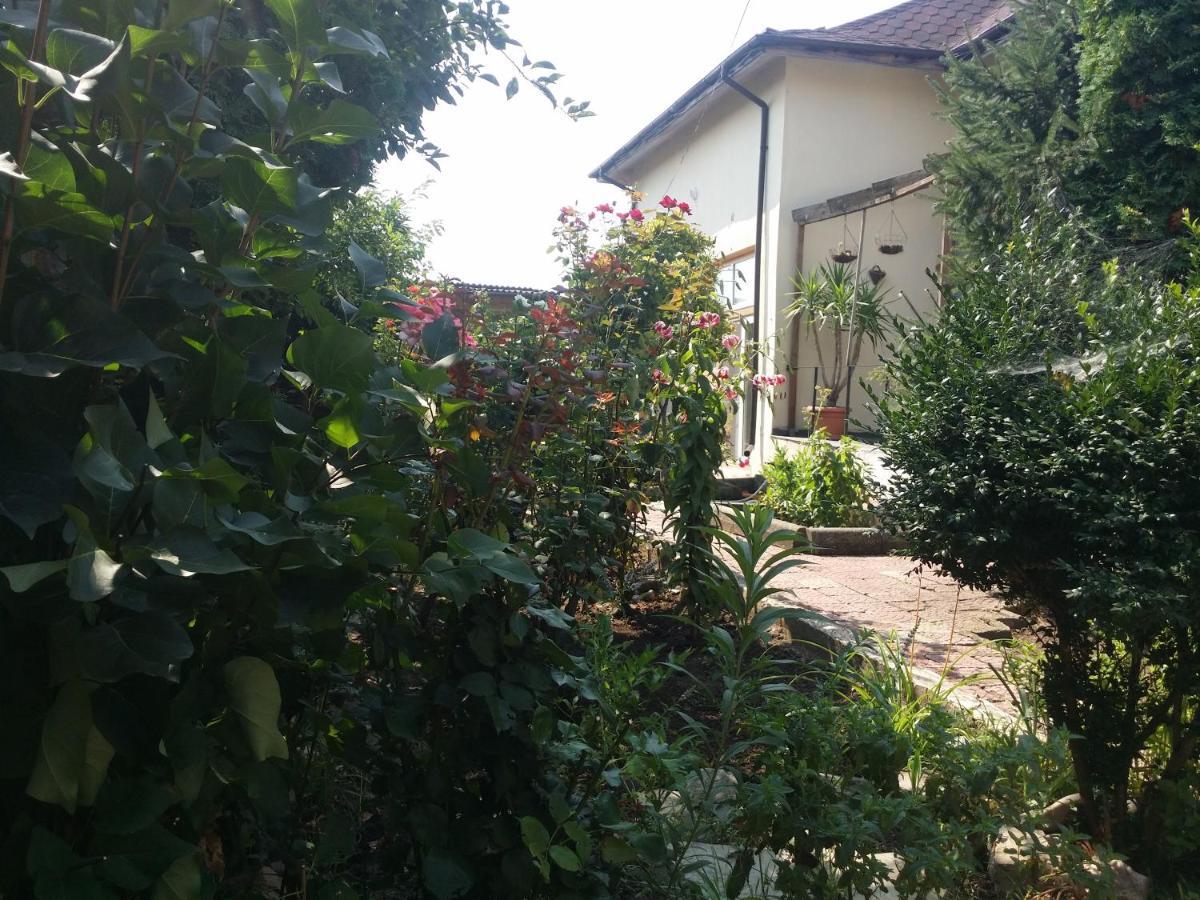 Hotel Casa Trandafirilor Tulcea Exteriér fotografie