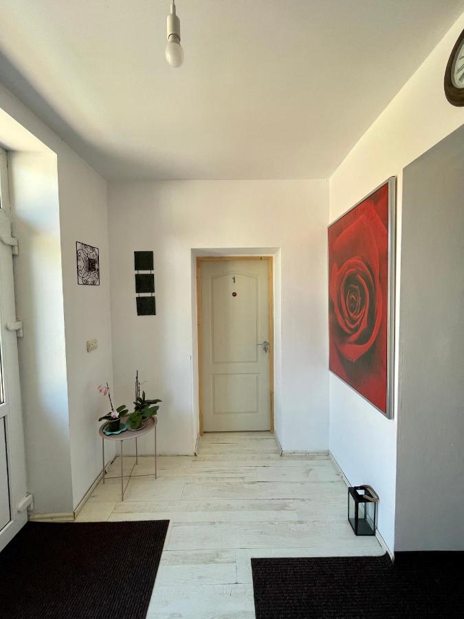 Hotel Casa Trandafirilor Tulcea Exteriér fotografie