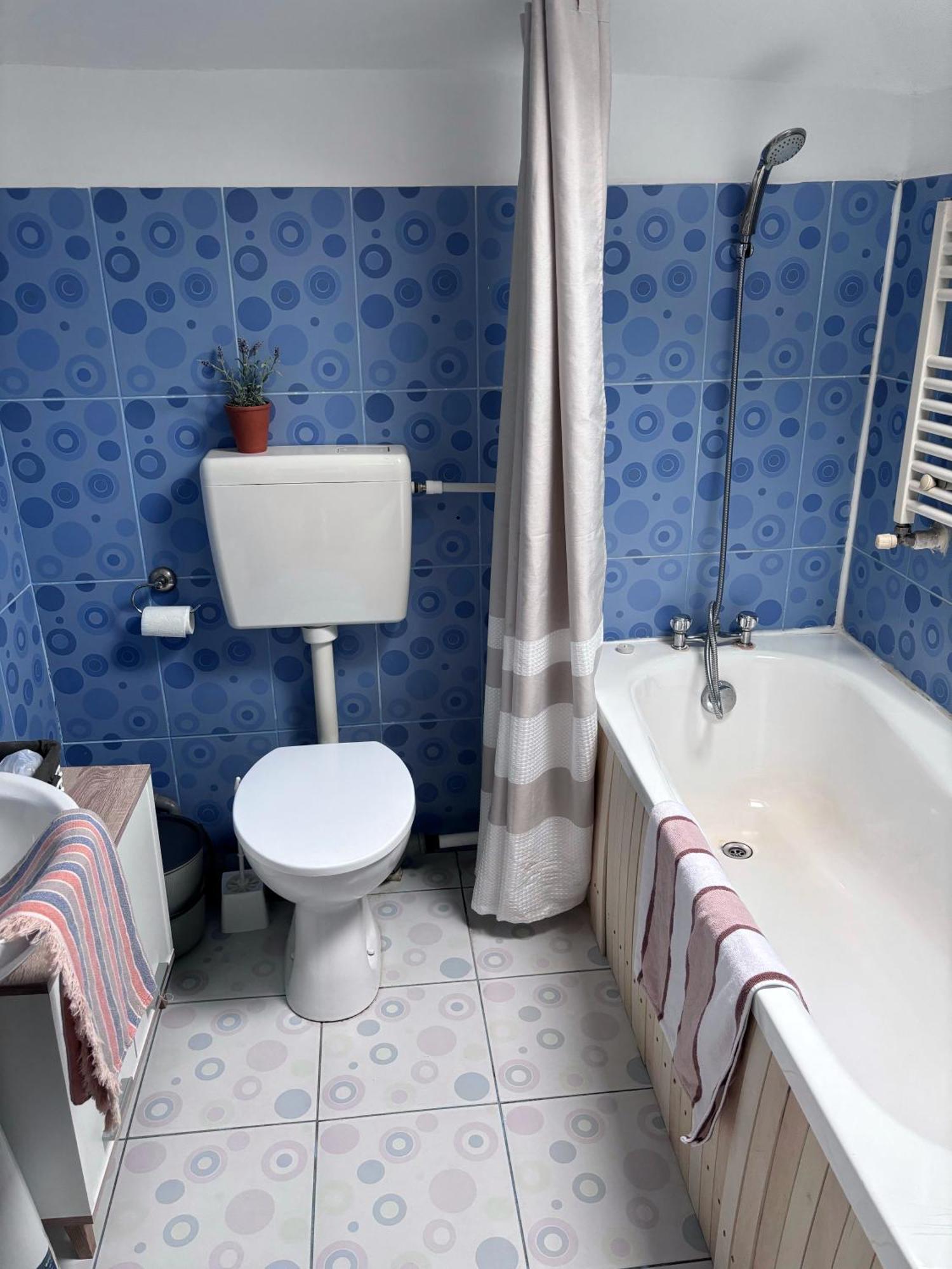 Hotel Casa Trandafirilor Tulcea Exteriér fotografie