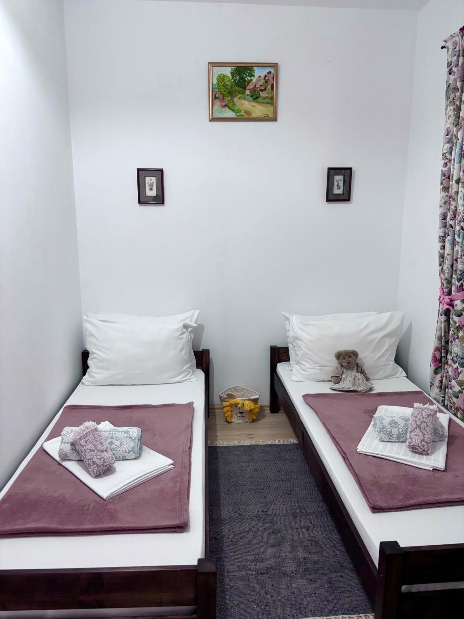 Hotel Casa Trandafirilor Tulcea Exteriér fotografie